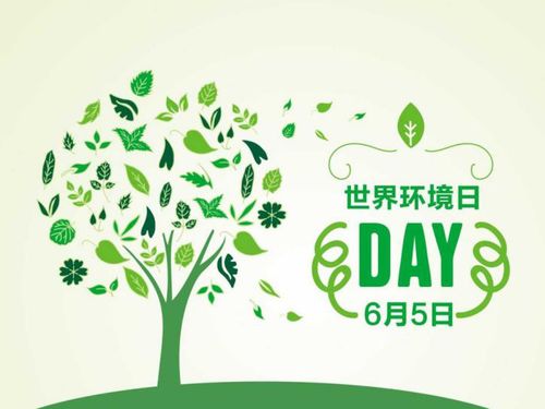 世界环境日 助力环保,我们可以这样做