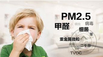 【环保美缝,打造不伤害宝宝健康的新家】- 