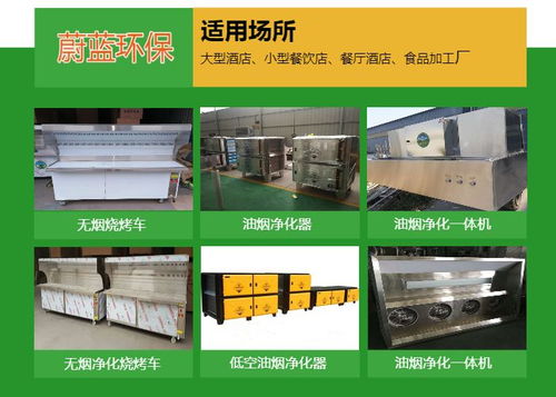 蔚蓝环保设备厂家直销 环保无烟烧烤车 龙岩特色佳泰环保产品
